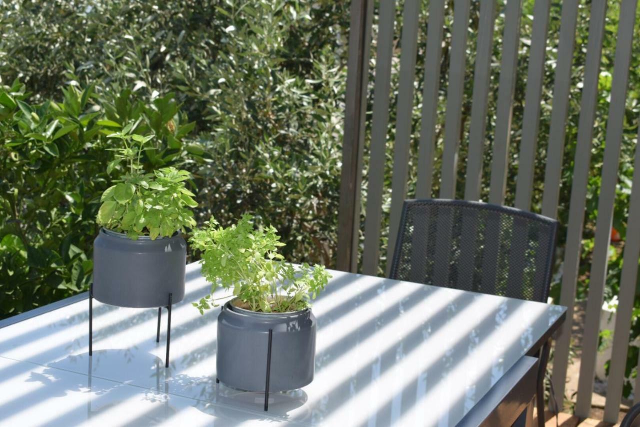 Tzavelitiko Home ヒマラ エクステリア 写真